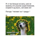 1761588639_13.jpg