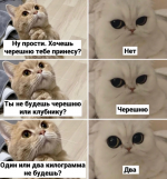 1781611285_12.png