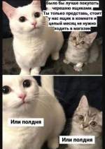 1781611299_16.png