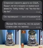 1763831702130.webp