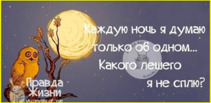 image (1624).png