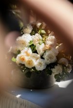 IMG_7930.jpeg