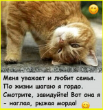 image (1703).png
