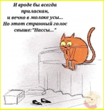 image (1702).png