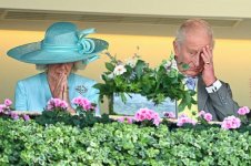 gettyimages-2282359698-612x612.jpg