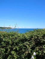 IMG_7967.jpeg
