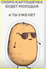 collage (113).jpg