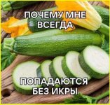 collage (112).jpg