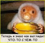 collage (121).jpg