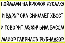 image (2038).png