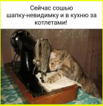 image (2042).png