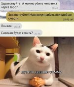 15900152.jpg