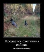 images (1).jpeg