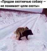 images (2).jpeg