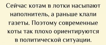 1750095092_10.jpg