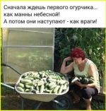 image (2518).png