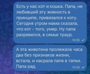 1782490526.jpg