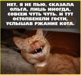collage (163).jpg