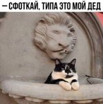 1759667643_8.jpg