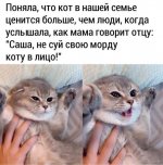 1760271191_7.jpg