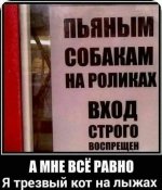 1760271198_3.jpg