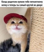 1762342911_16.jpg