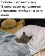1775152233_9.jpg