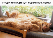 image (26).png