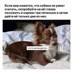 1780682405868.webp