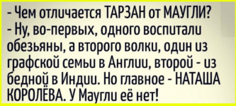 image (2117).png