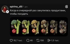 IMG_7950.jpeg