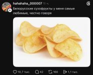 IMG_7952.jpeg