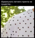 1782963902617.webp