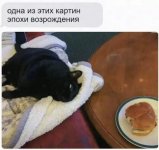 1780950942_3.jpg
