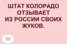 scale_1200 (1).png