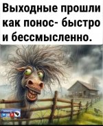 f0b34593369e03d05ee7e926a396c80a.jpg