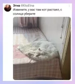 1783400351881.webp