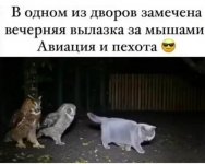 1783497905_10.jpg