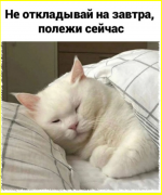image (2734).png
