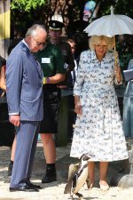 gettyimages-2285332753-612x612.jpg