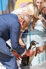 gettyimages-2284720573-612x612.jpg