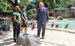 gettyimages-2284724199-612x612.jpg