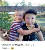 1783627690.webp