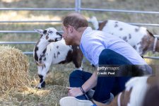gettyimages-2285018923-1024x1024.jpg