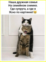 0cde90b408fe4680b1fef24e57a13008.png