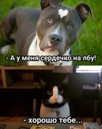 1771001734_6.jpg