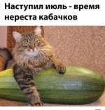 1783880542_2.jpg