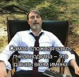 1774905563_6.jpg