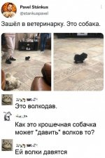 1760637296_2.jpg