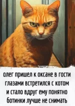 1783970159656.webp